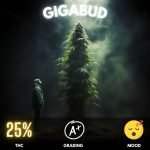 Gigabud strain sold online in Thailand.