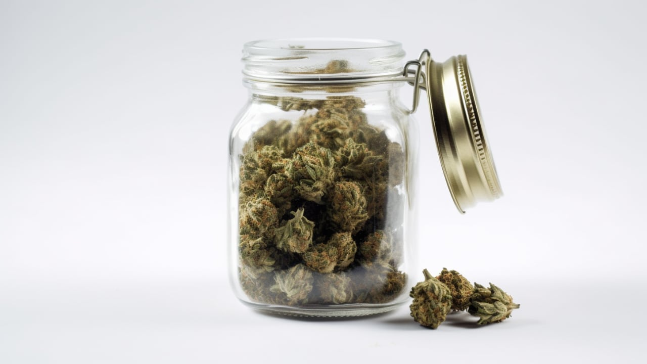 An Even Stronger Line Up and Irresistible Price Reductions