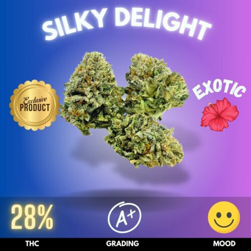 Silky Delight strain for sale online in Thailand.