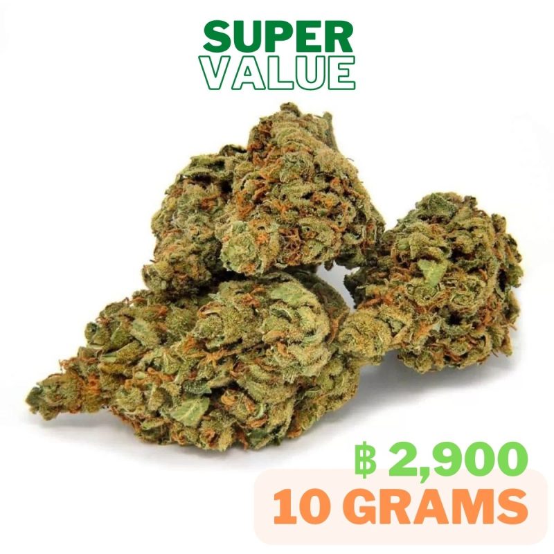 PrikPot Strain Update #1 3 Chili Charlotte Value Pack 10 grams in Thailand.