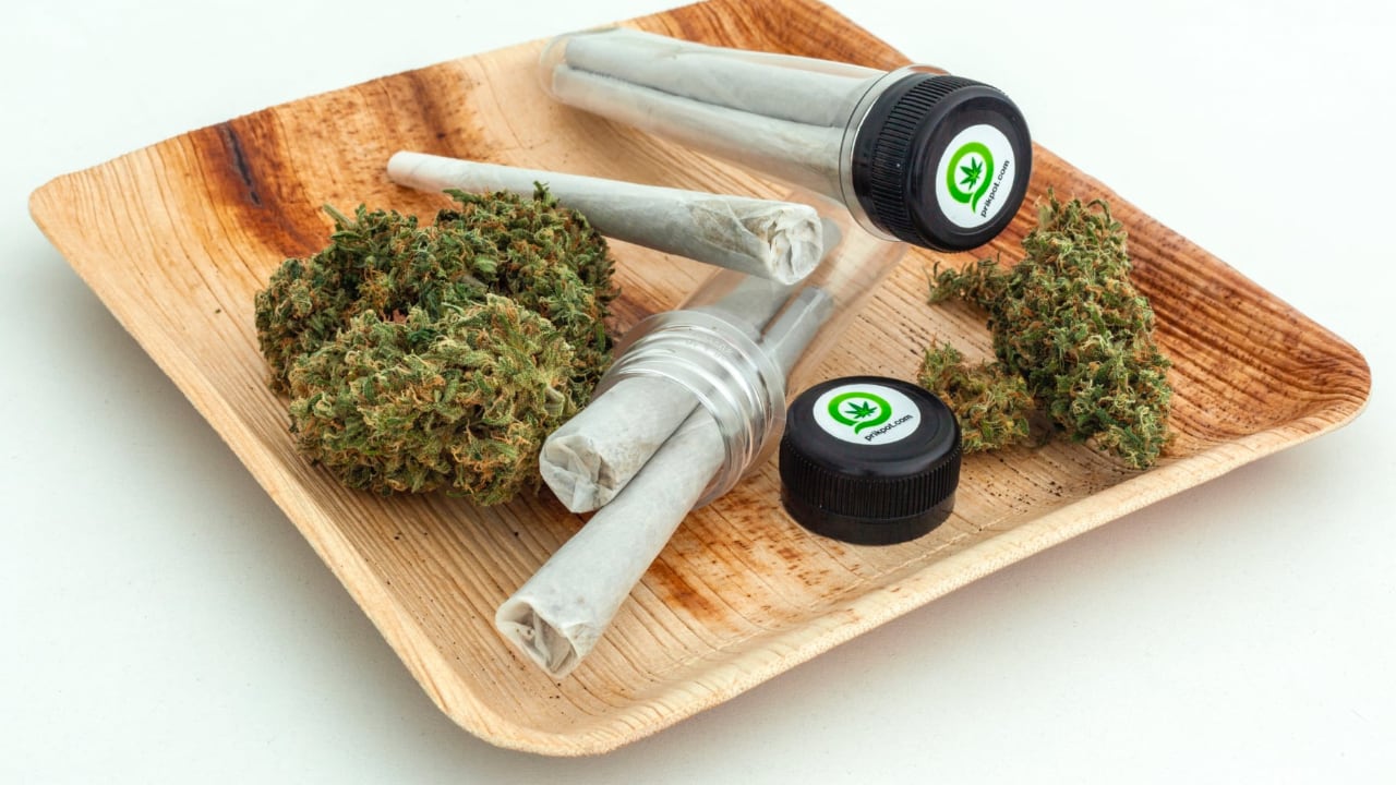 New cannabis strains introduced at Prikpot Thailand.