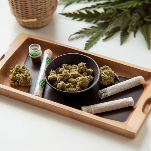 Does THC percentage really matter? 2 A tray with THC rich cannabis buds.