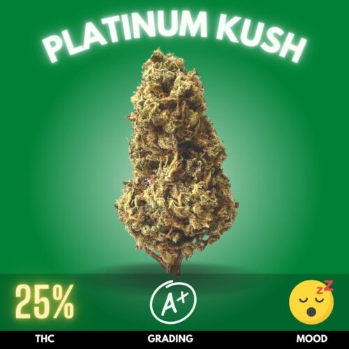 Platinum Kush weed strain sold online in Thailand.