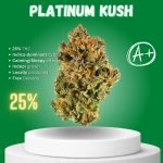 Platinum Kush weed strain sold online in Thailand.