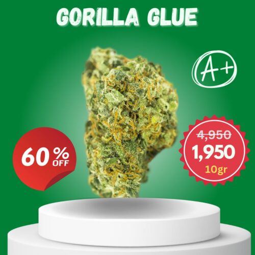 Gorilla Glue GG4 sold online in Thailand.