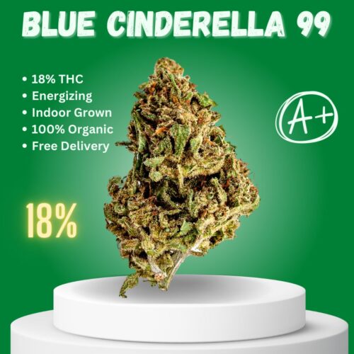 Blue Cinderella 99 sativa dominant strain sold online in Thailand.