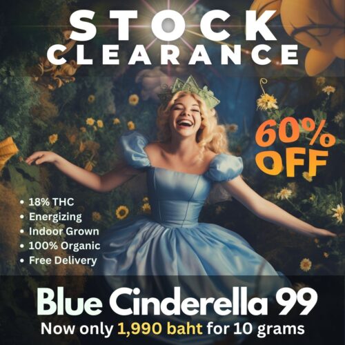 Introducing Blue Cinderella 99, a magical cannabis strain that'll leave you feeling like royalty!
