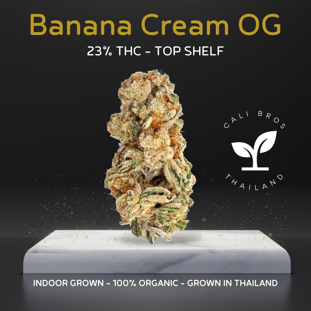 Banana Cream OG, also known as "Banana Cream," is a Indica dominant hybrid cross of Blue Dream, Banana OG, and Ocean Beach OG.
