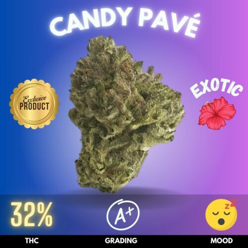 Candy Pavé is an exotic cannabis strain sold online in Thailand.
