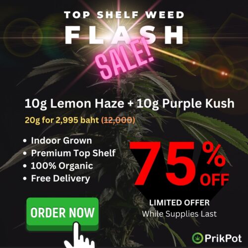 Flash Sale January 31.