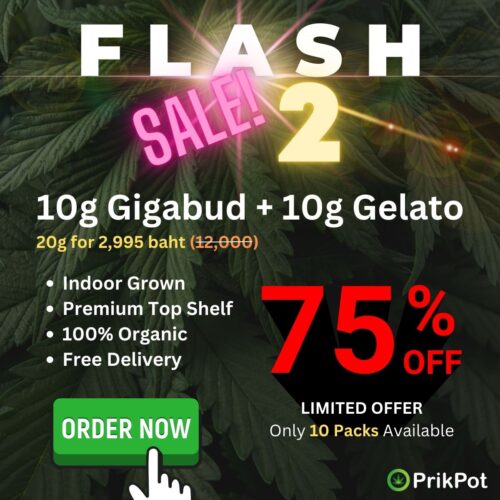 Flash Sale 2 February 28