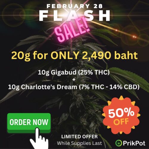 Flash Sale 2 February 28