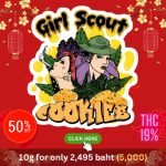 Chinese New Year Cannabis and weed promotion in Thailand.