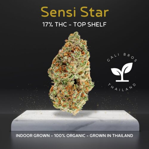 Sensi Star is a potent indica marijuana strain. The effects of this strain will make you feel relaxed and sedated from head-to-toe.