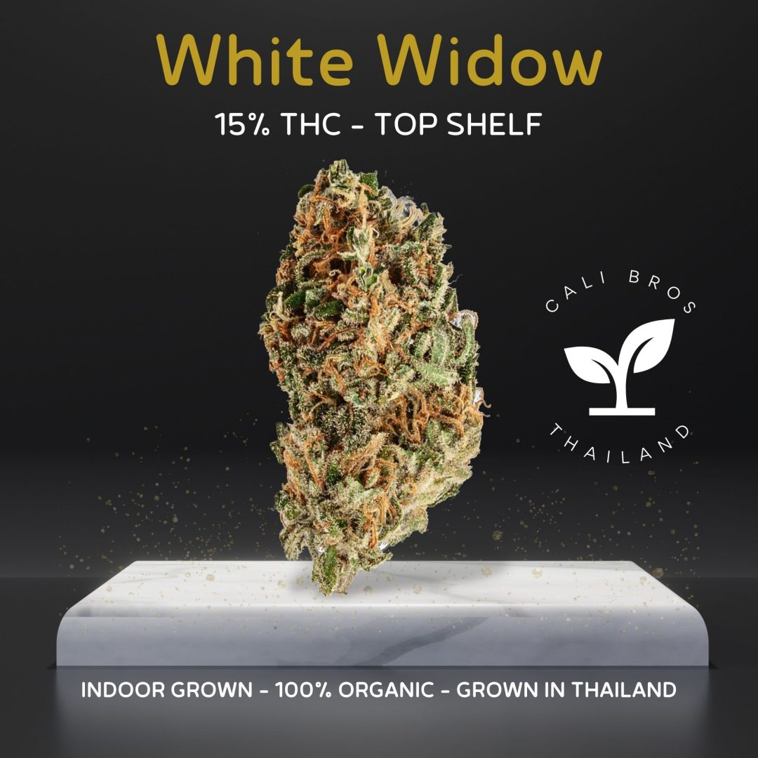 White Widow cannabis strain sold online in Thailand by Prikpot.