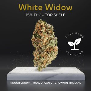 White Widow cannabis strain sold online in Thailand by Prikpot.