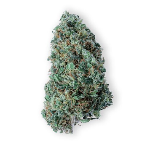 Acapulco Gold Strain sold online in Thailand.