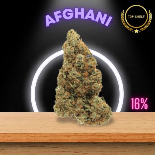 n original “landrace” strain native to the mountains of Afghanistan, Afghani is a pure indica prized for its potency and sturdy genetics.