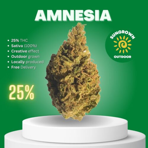 Amnesia cannabis bud sold online in Thailand.