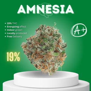 Amnesia sativa strain sold online in Thailand.