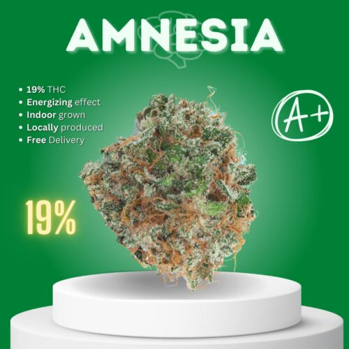 Amnesia sativa strain sold online in Thailand.