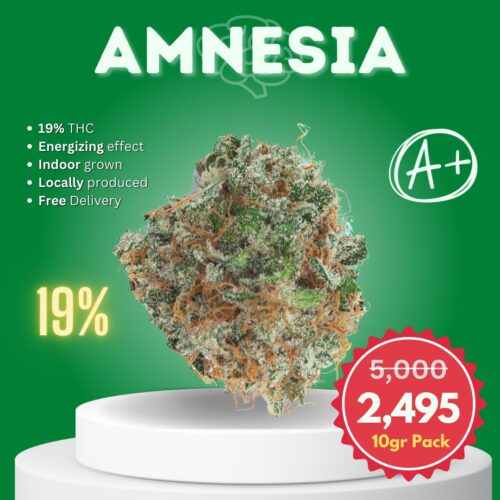 Amnesia is a sativa dominant strain sold online in Thailand.