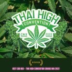 Charlotte's Angel is High in both CBD and THC. Sold exclusively by Prikpot in Thailand.