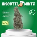 Biscotti Mintz strain in Thailand.