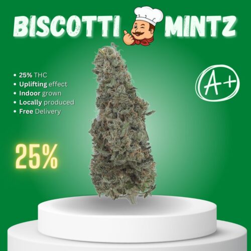 Biscotti Mintz strain in Thailand.
