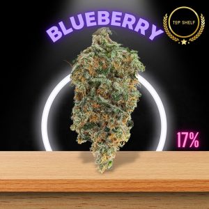 Blueberry is an indica strain that is sold online in Thailand.