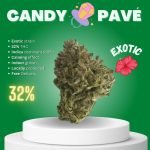 Candy Pavé is an exotic cannabis strain sold online in Thailand.