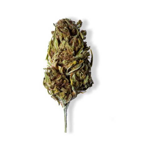 Charlotte's Mix strain sold in Thailand online.