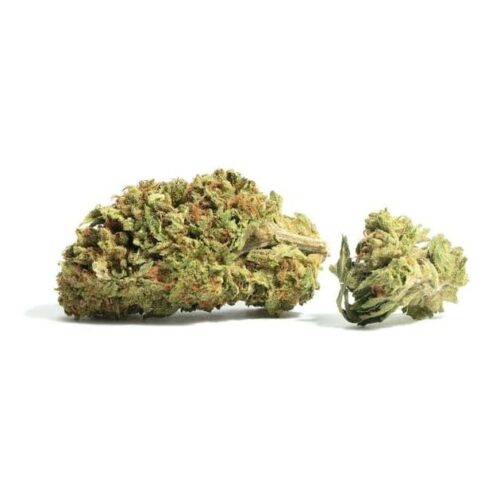 Colin OG Strain sold online in Thailand.