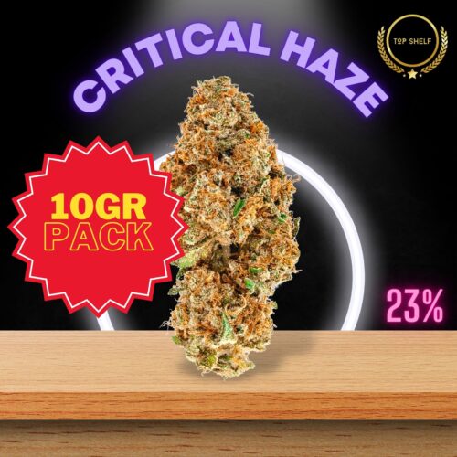 The Critical Haze value pack weed strain is sold online and shipped all over Thailand.