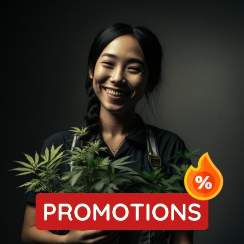 Exclusive cannabis promotions and discounts in Thailand.