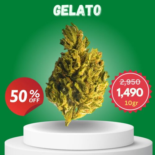 Gelato cannabis bud sold online in Thailand.