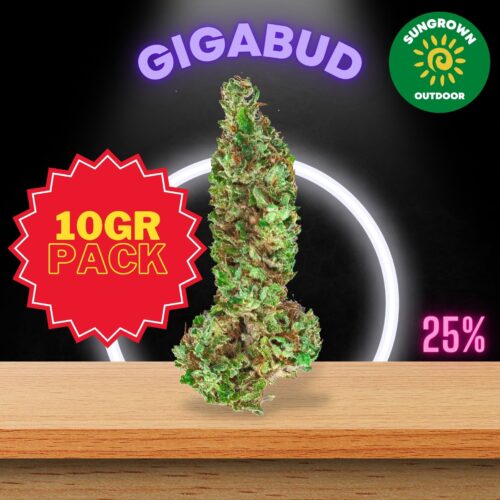 This is the Thailand Sungrown edition of Gigabud cannabis strain with a really competitive price.