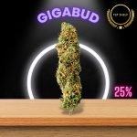 Gigabud strain sold online in Thailand.