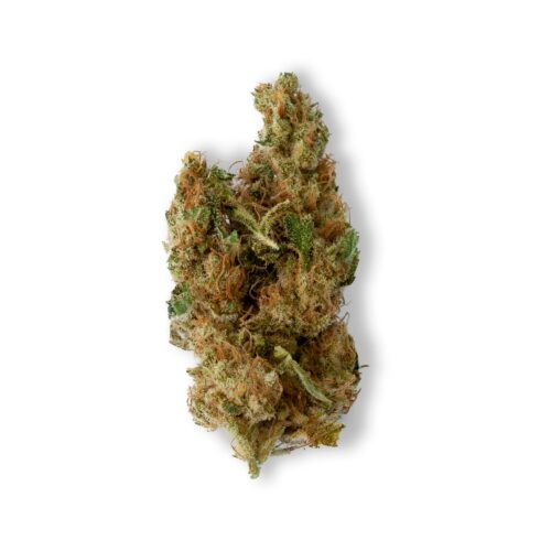 Green Crack Sativa Strain sold online in Thailand.