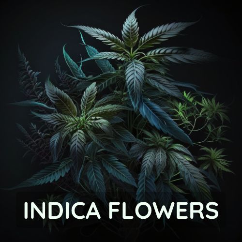 Indica cannabis strains sold online in Thailand.