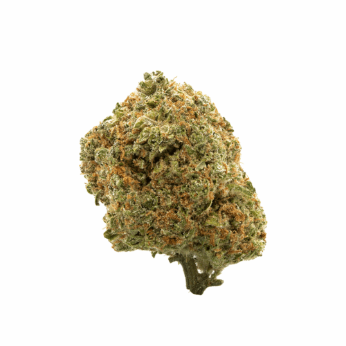 Monster OG Thailand online sales.