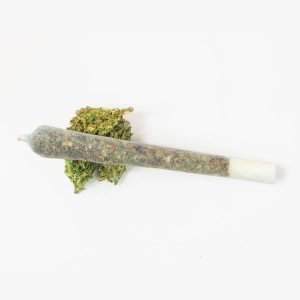 Pre Rolled Blunt, Spliff, Joint for Online sale in Thailand.