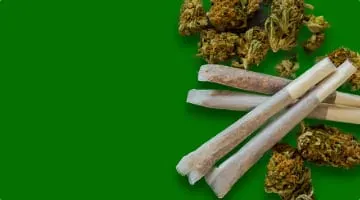 Pre-rolled marijuana joints and blunts for sale online in Thailand.
