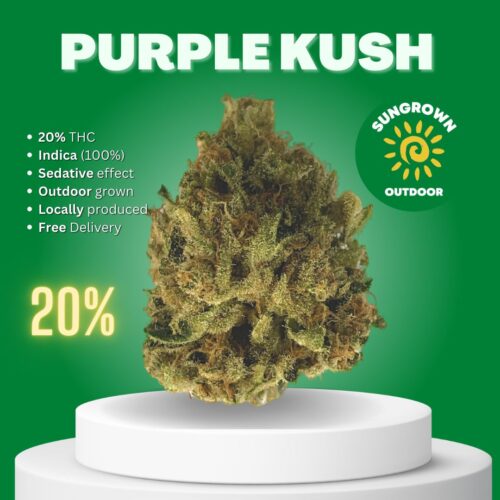 Purple Kush Indica cannabis bud sold online in Thailand.