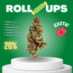 The medical benefits of Roll Ups in Thailand are due to its high THC content and relaxing properties.