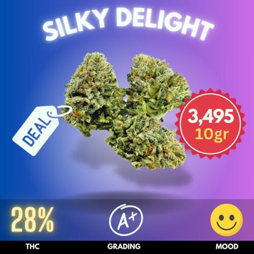 Silky Delight strain for sale online in Thailand.