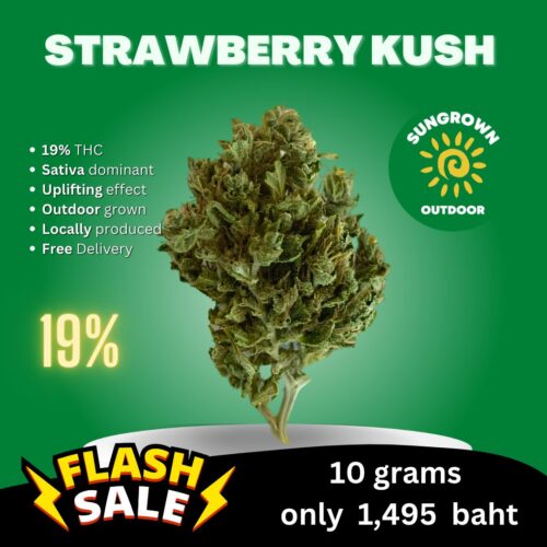 Strawberry Kush strain in Thailand.