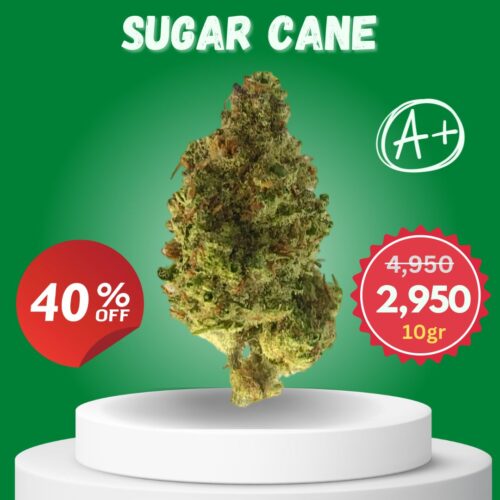 Sugar Cane Value Pack