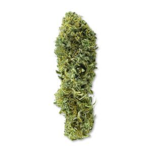 Super Silver Haze sold online in Thailand.