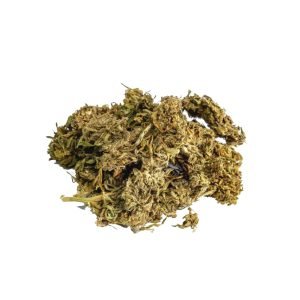 Original Thai Stick cannabis weed strain sold online in Thailand.